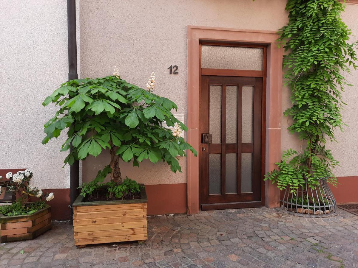 Alte Bahnhofstrasse 12 Lägenhet Karlstadt Exteriör bild